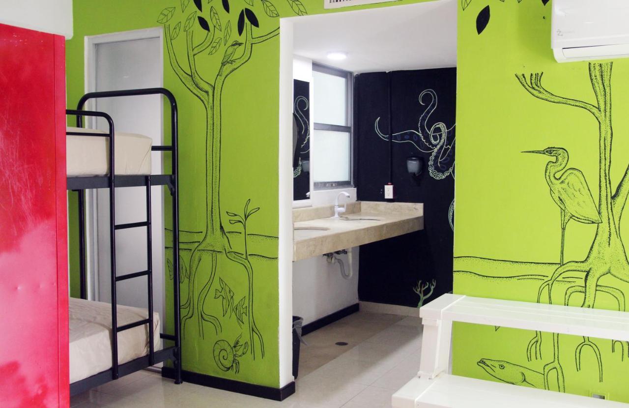 Hotel & Hostal Casa De Luz كانكون المظهر الخارجي الصورة
